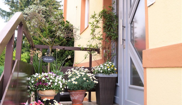 Bright, friendly 2-room apartment close to the city center