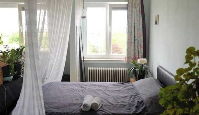 Comfortable studio with magnificent view