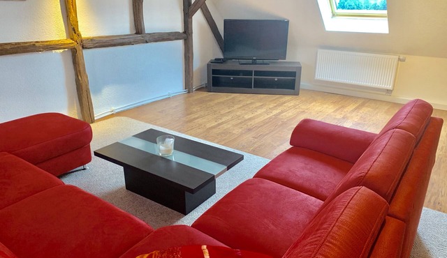 Cozy vacation apartment with living room/bedroom, kitchen and bathroom