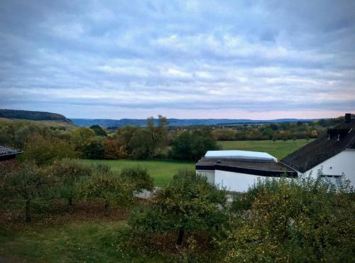Golfblick