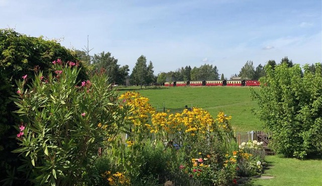 Harzquerbahnblick