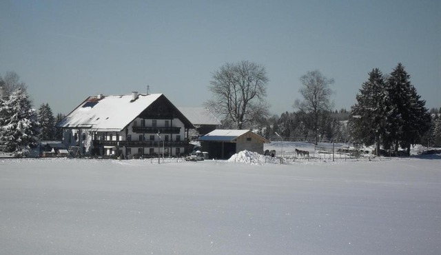 Hauserwirt