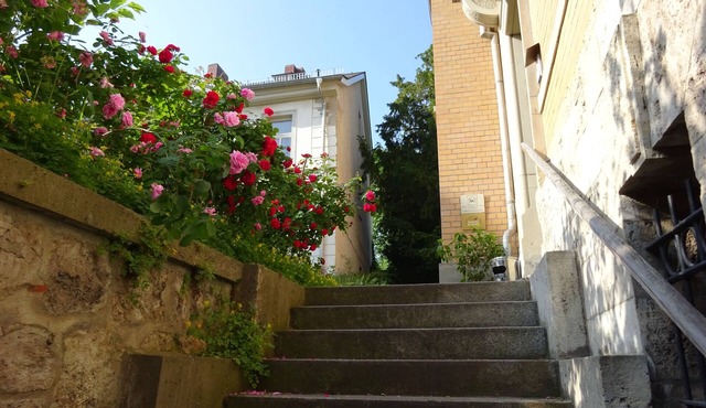 Hummel Hostel