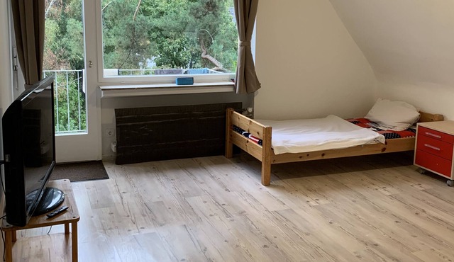 Nice studio (attic) with balcony, central location