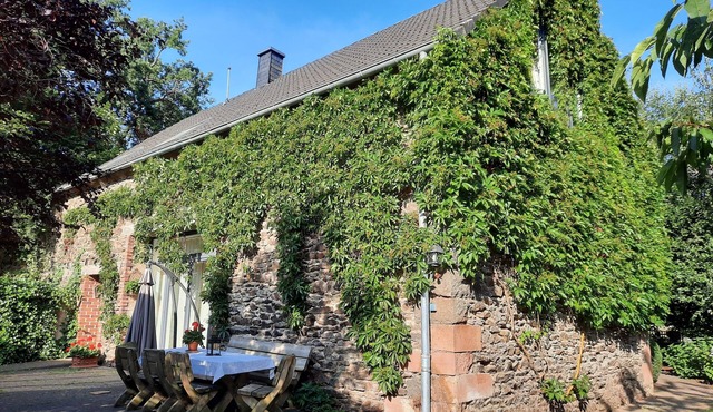 Spacious ground floor apartment in a quiet, secluded location by the forest and stream