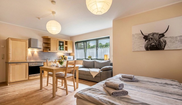 Studio Apartment 'Erzgebirge' with Private Garden and Wi-Fi