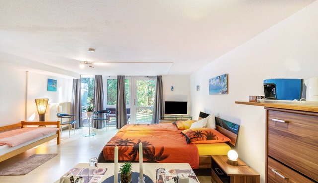 Studio Apartment 'Spessartruhe' with Shared Terrace and Wi-Fi