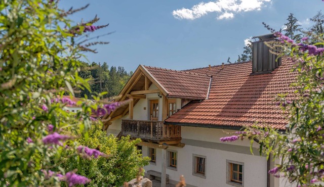 This 65 square meter, air-conditioned vacation apartment on a country estate on the Dreisesselberg in the Bavarian Forest is a perfect retreat. 2 bedrooms, 1 living room, 1 fully equipped kitchen and a bathroom with shower/WC ensure relaxation. The.