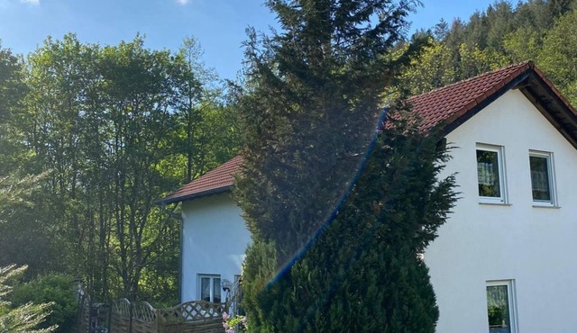 Vacation home Forellennest am Waldrand - 6-bed vacation home, 2x bath/WC, 3