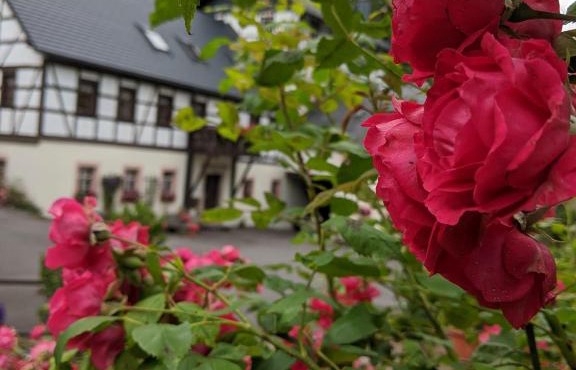 Viertel's Mühle