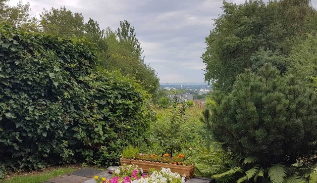 Wohnung, Ferienwohnung und Apartments in Ruhiger Lage