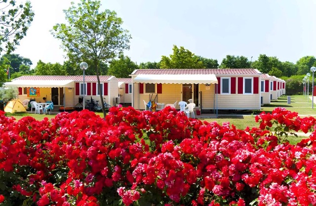 33 m² Mobile home ∙ 3 bedrooms ∙ 6 guests