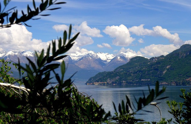 Villa Bellagio Garden 