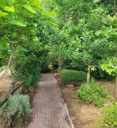 Casanova Lonati Bed & Breakfast | 20 m² Bed and breakfast ∙ 2 guests
