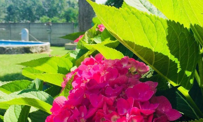 Ottobiano Bed & Breakfast | 22 m² Bed and breakfast ∙ 3 guests