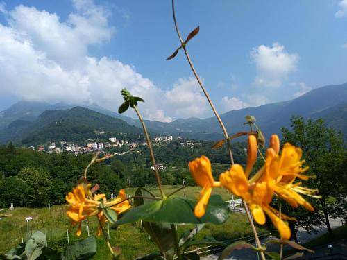 Rota d'Imagna Bed & Breakfast | 30 m² Bed and breakfast ∙ 3 guests