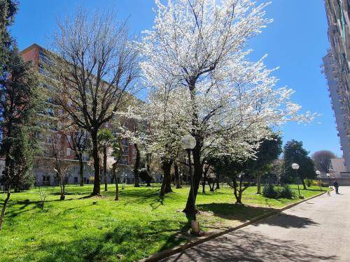 Binda Apartment | 70 m² Apartment ∙ 2 bedrooms ∙ 4 guests