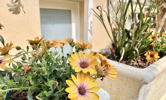 Limone sul Garda Apartment | 78 m² Apartment ∙ 2 bedrooms ∙ 5 guests