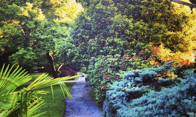 Grantola Bed & Breakfast | Villa Sarchi