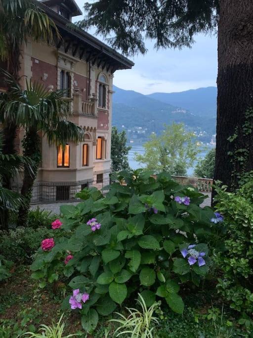 Laglio House | COMO Luxury house