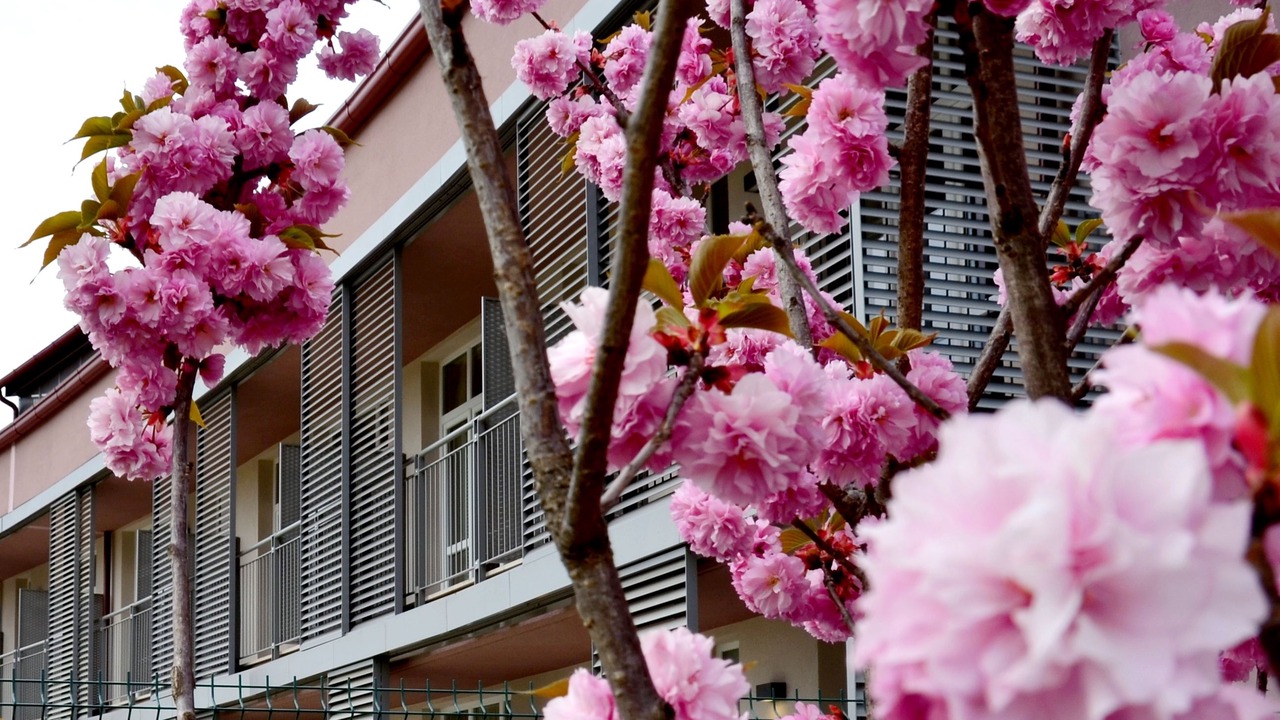 Photo of Buildings in Vimercate