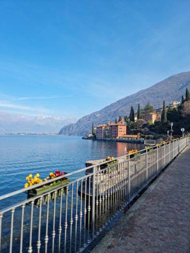 Photo of Others in Bellano