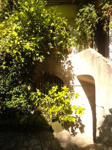 Photo of Others in Castello