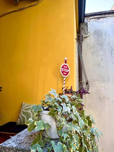Photo of Others in Ponte Seveso