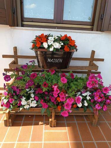 Photo of Patio Balcony in Albate