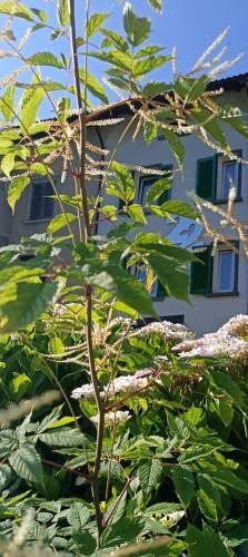 Photo of Outdoor in Santa Brigida