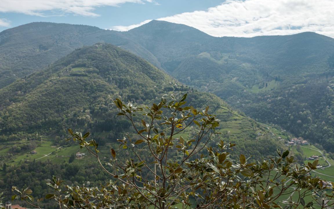 Photo of Others in Adrara San Martino