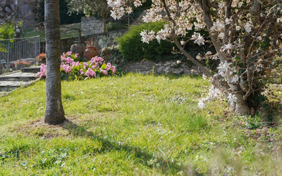 Photo of Others in Argegno