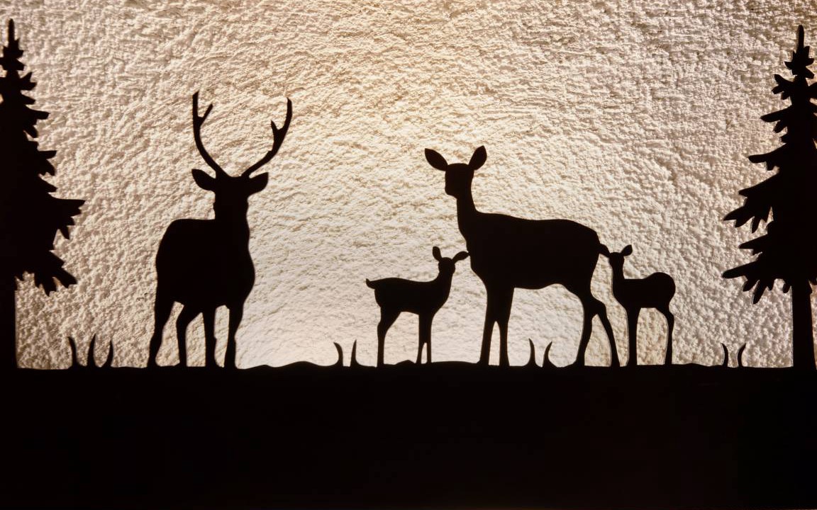 Photo of Others in San Giacomo Filippo