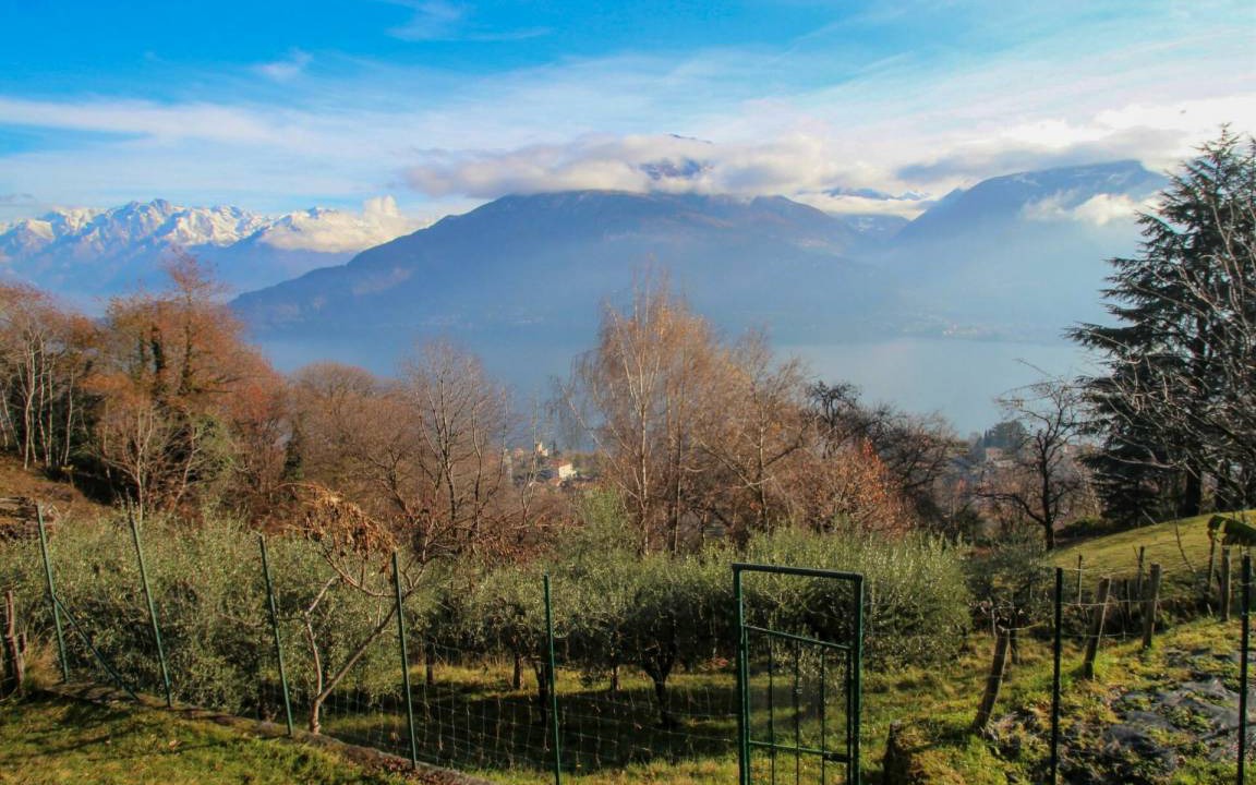 Photo of Others in Vignola