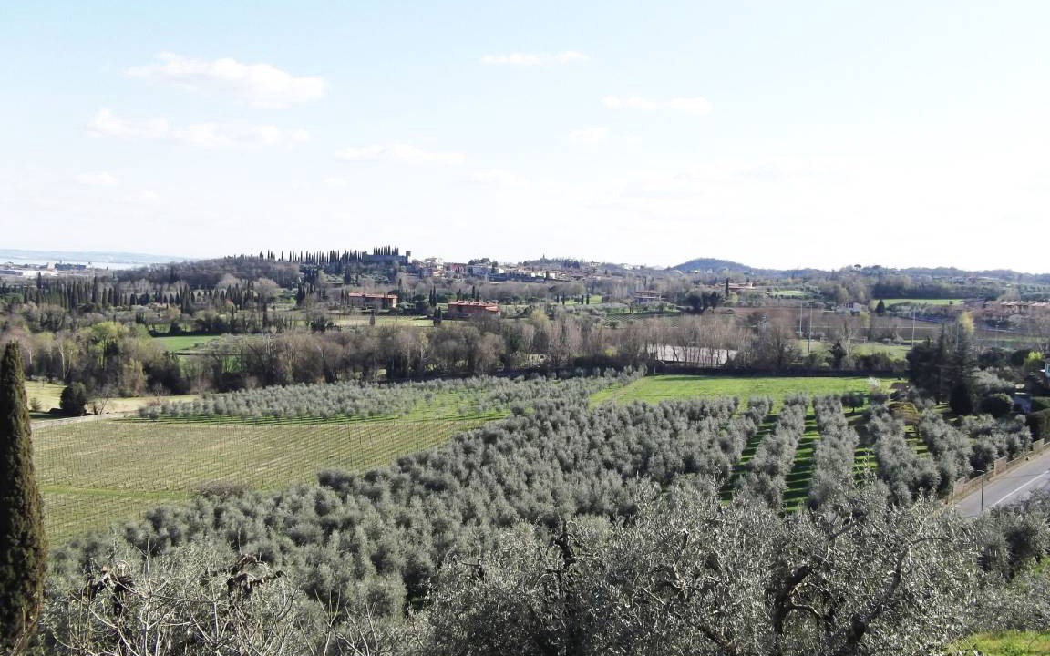 Photo of Others in Polpenazze del Garda