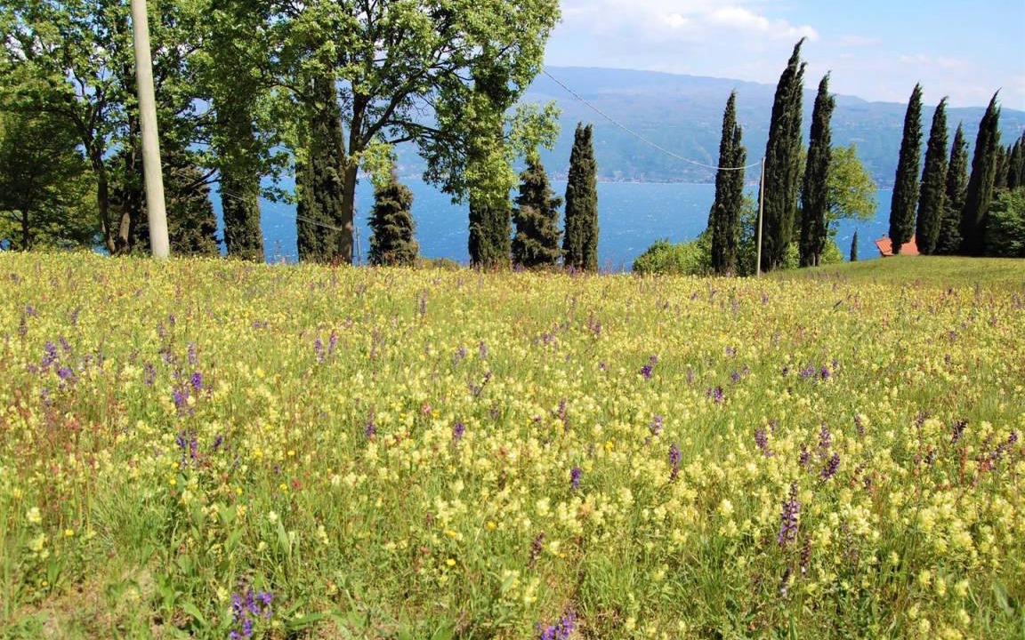 Photo of Others in Gargnano