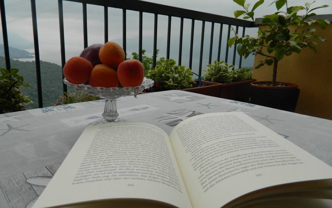 Photo of Patio Balcony in Vignone