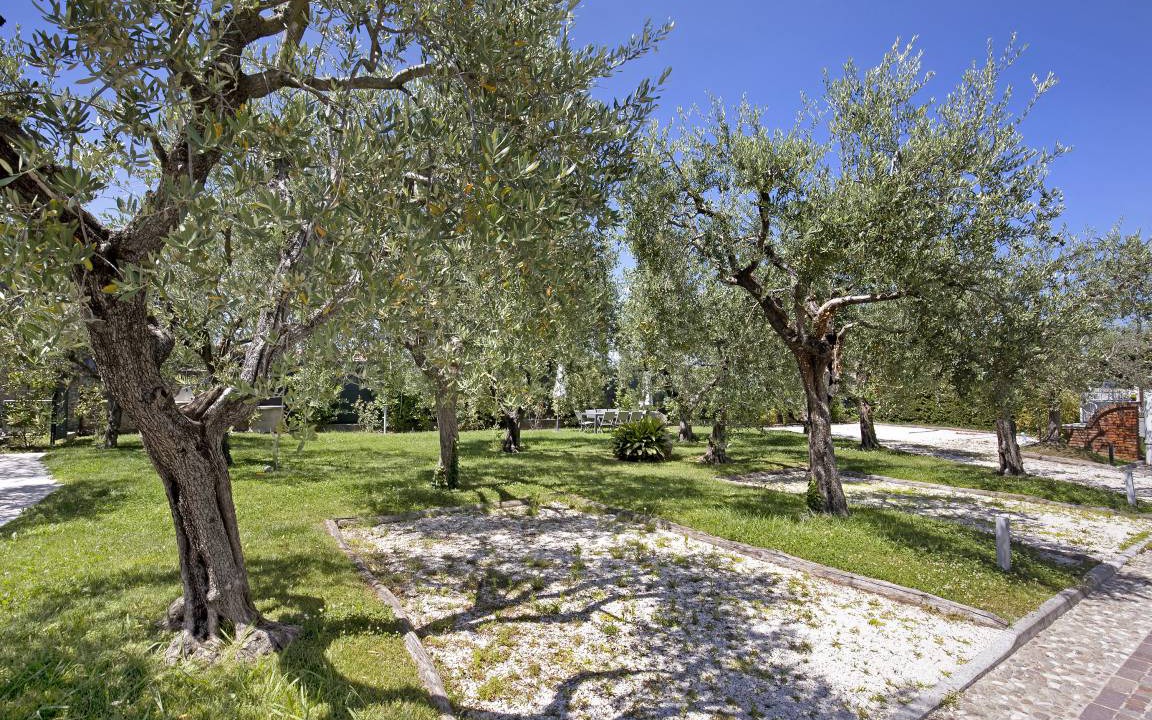 Photo of Others in Desenzano del Garda