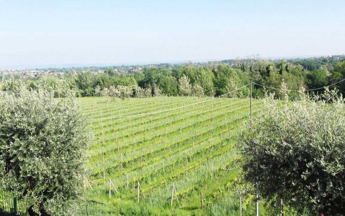 Photo of Others in Polpenazze del Garda