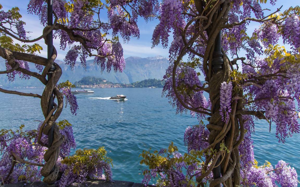 Photo of Others in Varenna