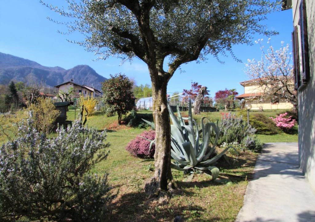 Photo of Others in Castello