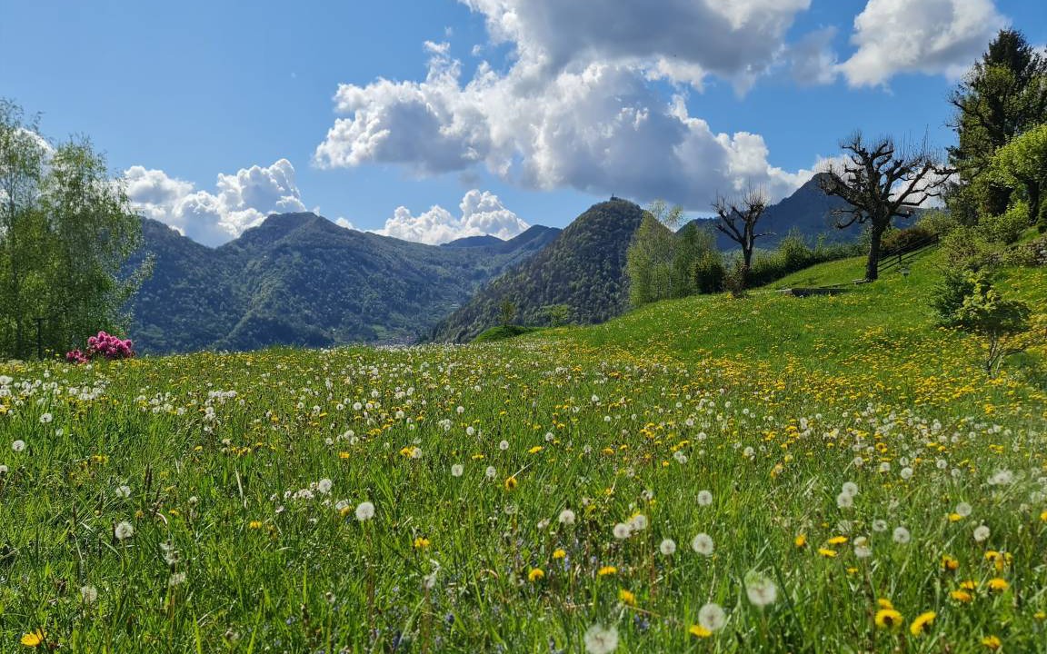 Photo of Others in Cerano d'Intelvi