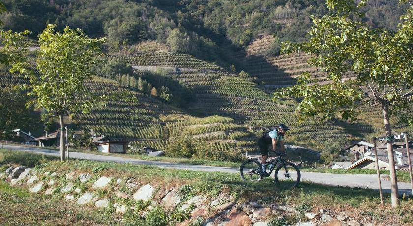 Photo of Others in Madonna di Tirano