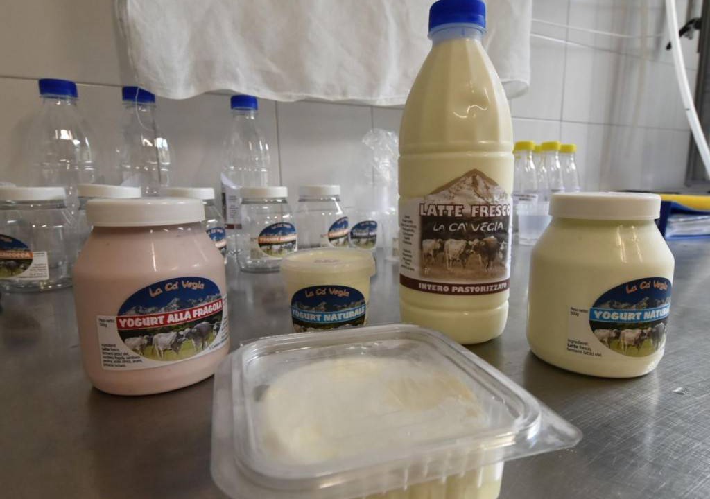 Photo of Kitchen in Prata Camportaccio