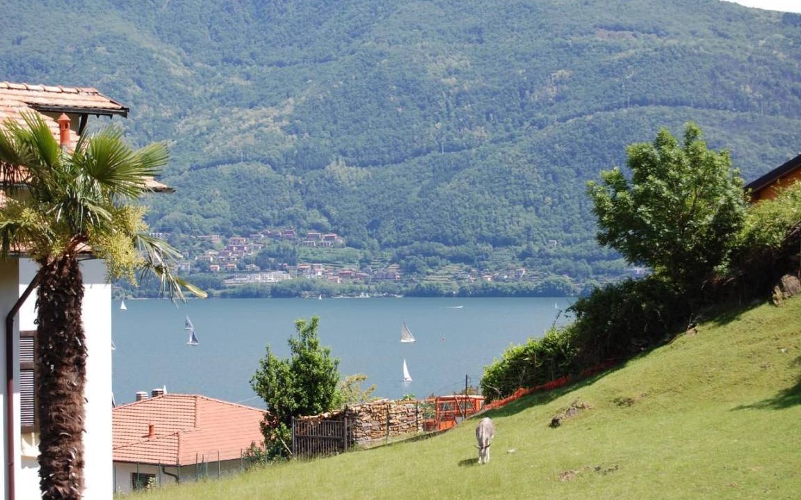 Photo of Others in Calozzo