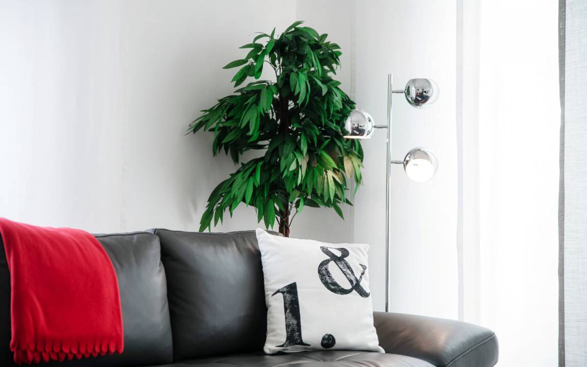 Photo of Livingroom in Como