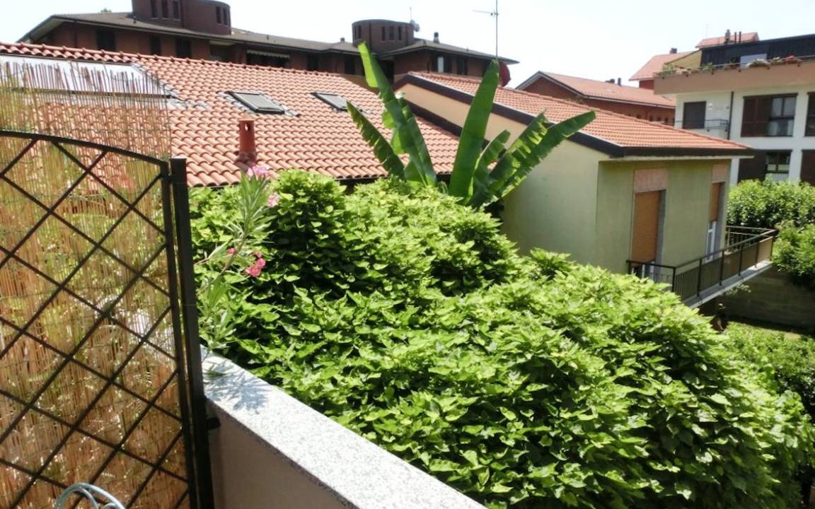 Photo of Others in Cologno Monzese