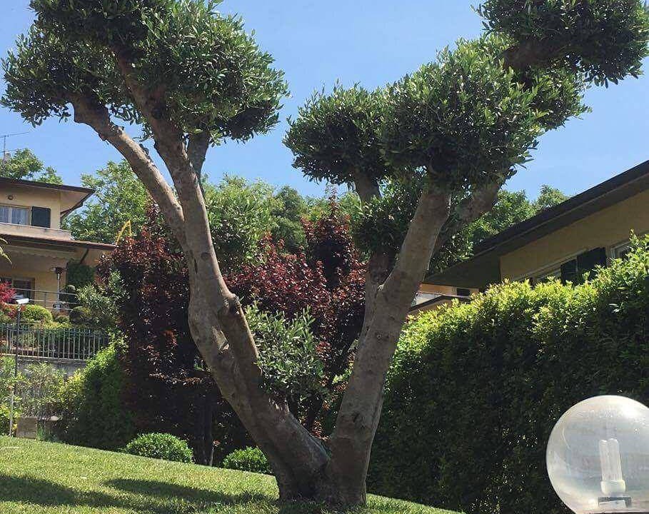 Photo of Outdoor in Pozzolengo