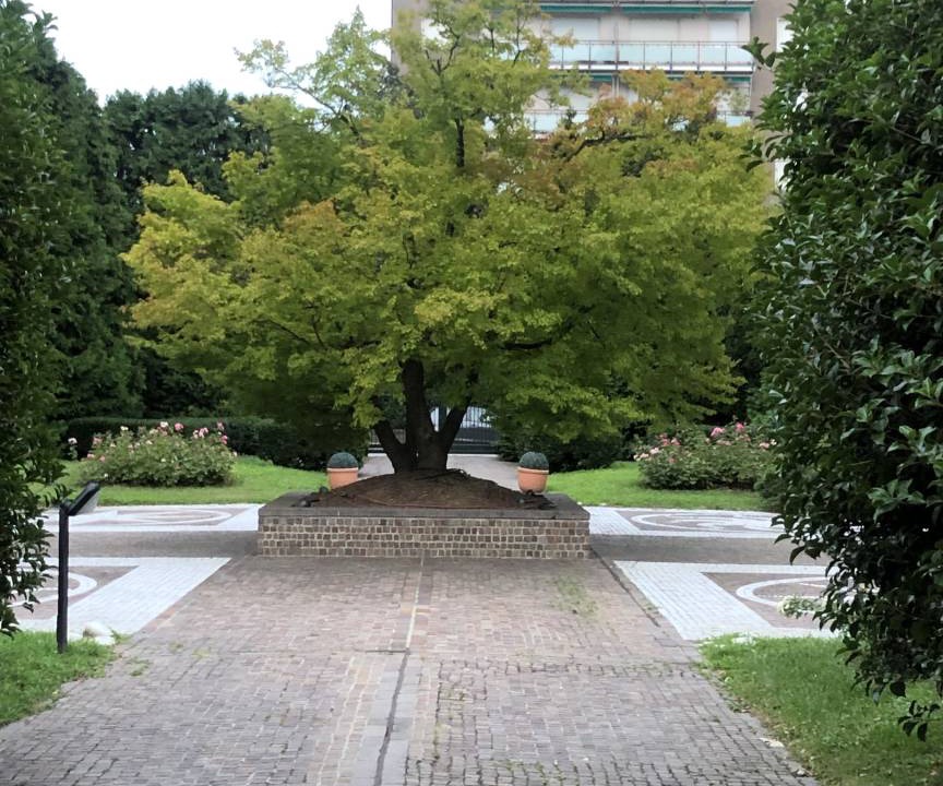 Photo of Others in Monza