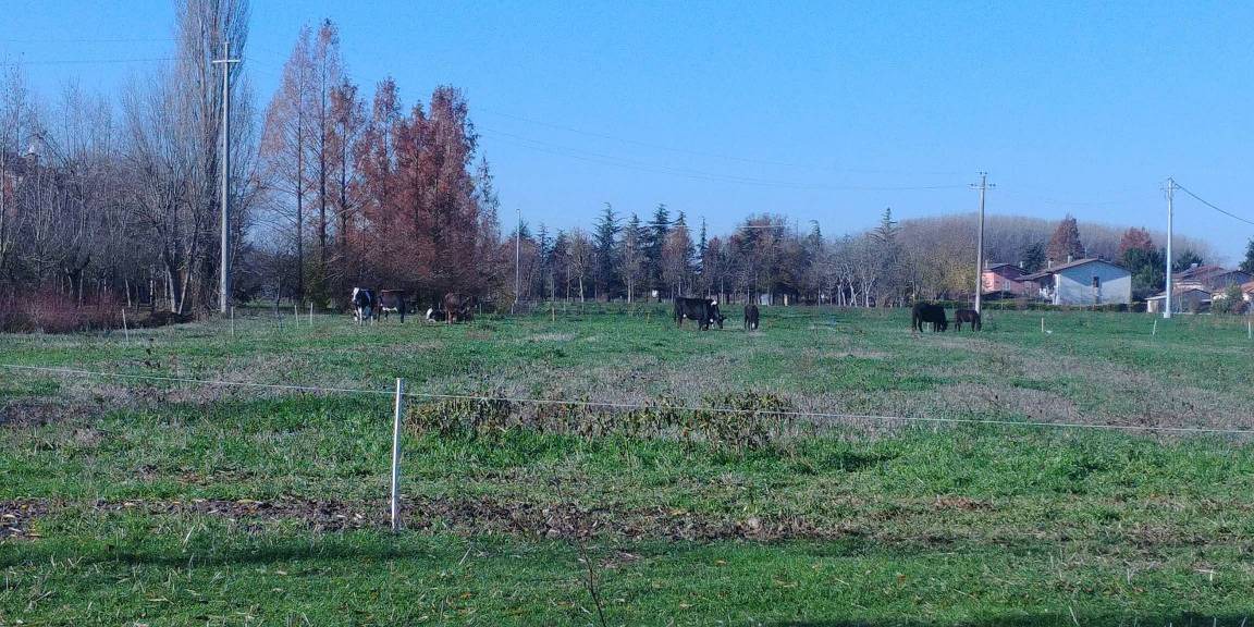 Photo of Others in Ceresara